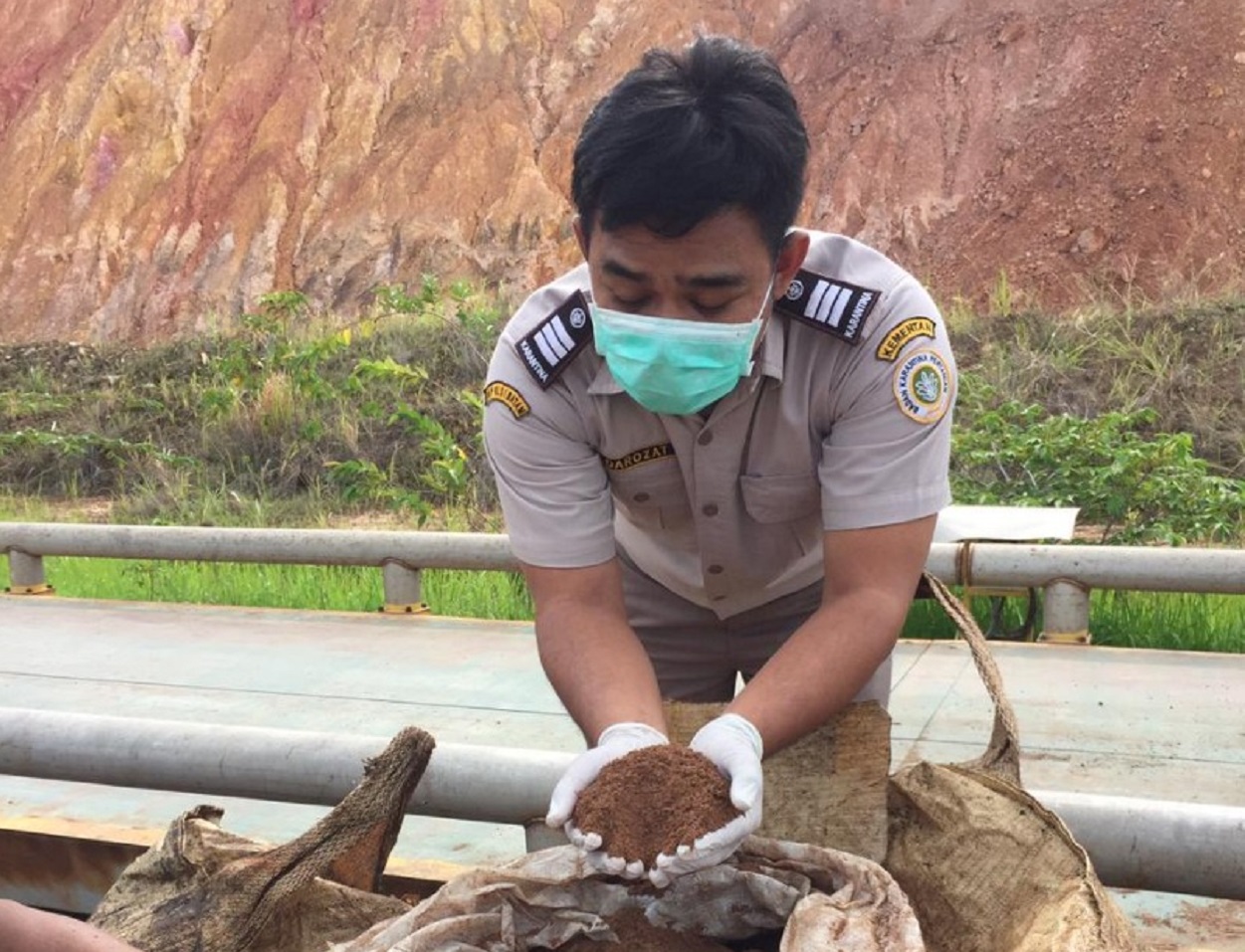 Palm Oil Derivatives