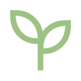 Eco-Friendly Practices