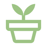 Organically Sourced Herbs & Spices