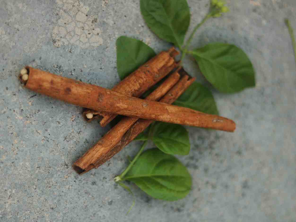 Cinnamon (Cassia)